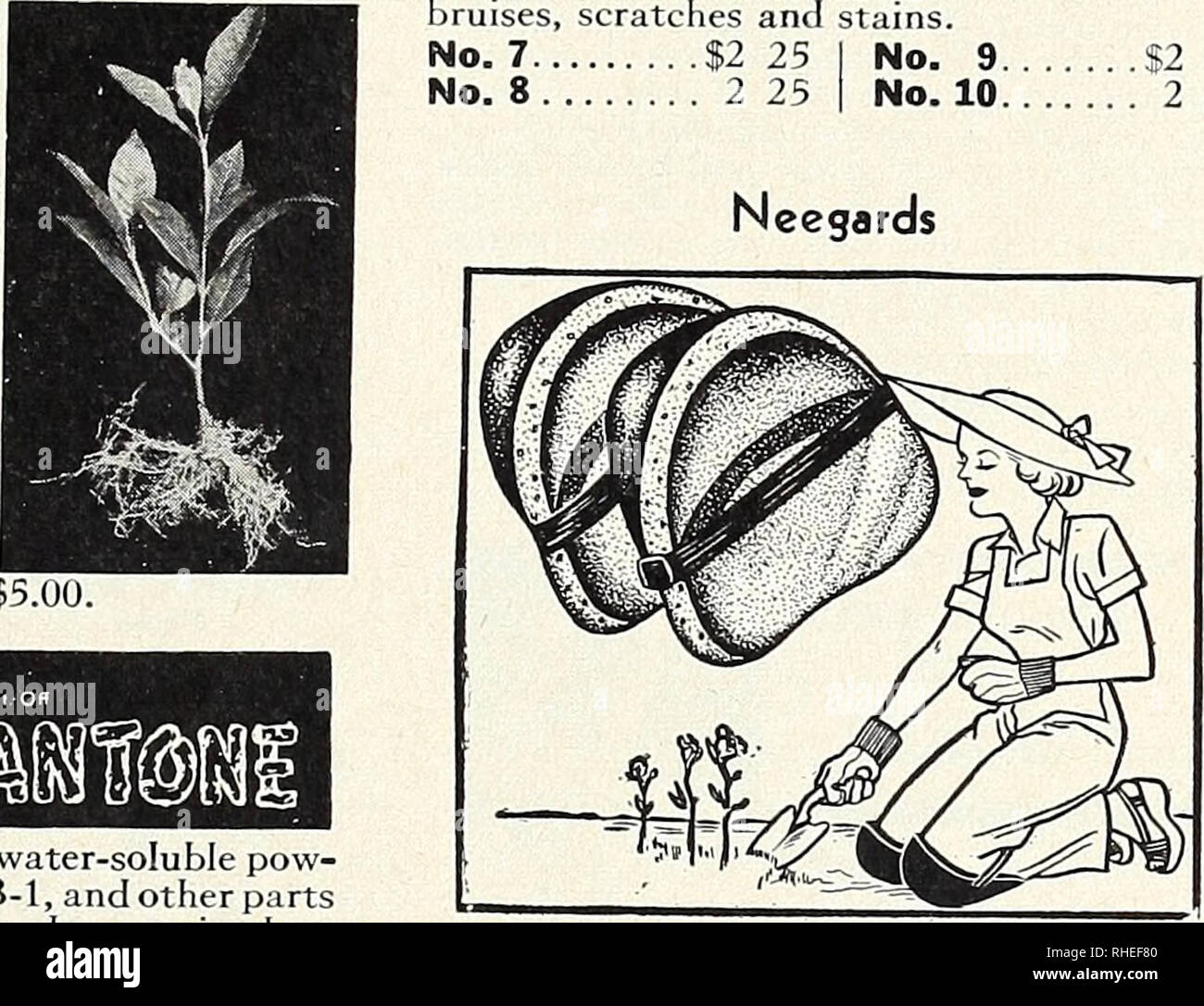 Bolgiano S Spring 1965 Catalog Nurseries Horticulture Catalogs