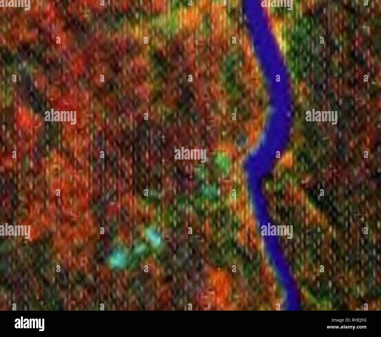 . Bolivia : Pando, Federico RomÃ¡n. Natural history; Nature conservation; Biodiversity conservation; Ecological assessment (Biology). GUÃA DE LOS COLORES DE HABITATS EN LA IMAGEN SATÃLITE/ Bosque de tierra firme (Btf) Sartenejal alto (Sa) Sartenejal bajo/Lajas o pampas inundadas (Sb/Li) Bosque de SolerÃ-a (Bs) Ãreas deforestadas (en Brasil) (Ad) y  FiG.3 Ãrea de InmovilizaciÃ³n Federico RomÃ¡n: Diversidad de hÃ¡bitats Ãºnicos/ Diversity of unique habitats Los bosques altos de terraza (tierra firme) con Ã¡rboles grandes tienen una textura mÃ¡s gruesa que los bosques bajos de sartenejal en esta Stock Photo