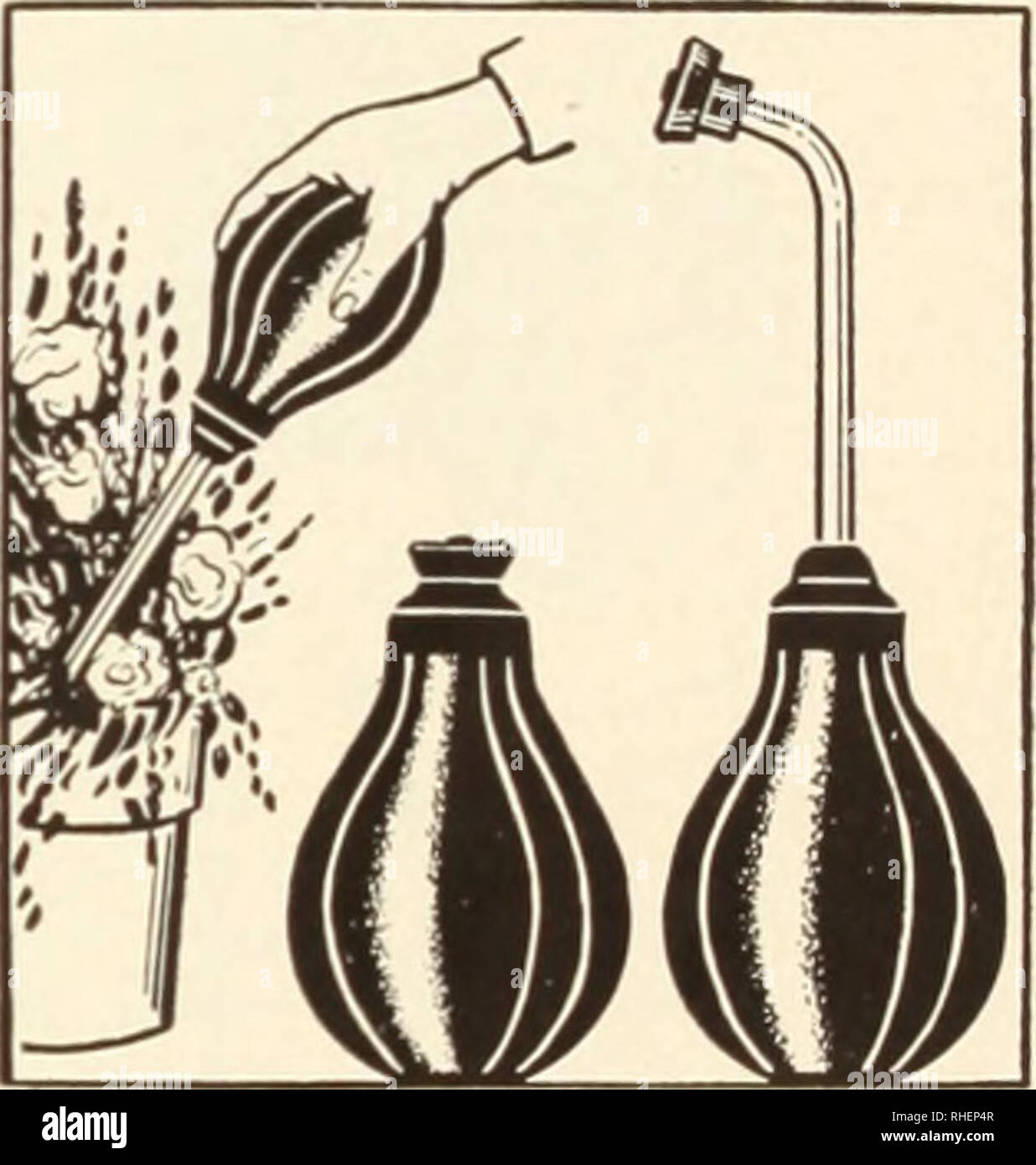 . Bolgiano's capitol city seeds : 1955. Nurseries (Horticulture) Catalogs; Bulbs (Plants) Catalogs; Vegetables Catalogs; Garden tools Catalogs; Seeds Catalogs. 20 ft ;1 95 I 40 ft S3 75 Resinite Flexible Twin Tube Sprinkler 25 ft S3 30 | 50 ft S4 95 I ike all-night rain. Water seeps through entire length. Puts water where you want it —at the roots. No run-off—No waste—No soil-washing No. 0. 12 ft.. $1 80 | No. 2. 30 ft.. .$3 70 No. 1. 18 ft... 2 40 I No. 3. 50 ft... 6 00 Sprabulb and Centrospray. For years florists, seedsmen and house- wives throughout the U. S. A. have found the handy Sprabul Stock Photo