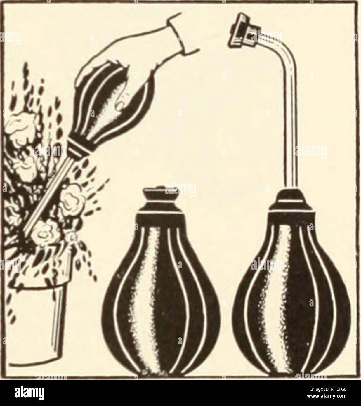 . Bolgiano's capitol city seeds : 1954. Nurseries (Horticulture) Catalogs; Bulbs (Plants) Catalogs; Vegetables Catalogs; Garden tools Catalogs; Seeds Catalogs. 20 ft $2 35 35 ft 3 55 50 ft S4 75 Resinite Flexible Twin Tube Sprinkler 25 ft S3 85 50 ft J5 85 I ike all-night rain. Water seeps through entire length. Puts water where you want it —at the roots. No run-off No waste- No. 0. 12 ft. Si 80 No. 1. 18 It... 2 40 I -No soil-washing No. 2. 30 ft...$3 70 No. 3. 50 ft... 6 00 Sprabulb and Cetrospray. For years llorists, seedsmen and house- wives throughout the U. S. A. have found the handy Spr Stock Photo