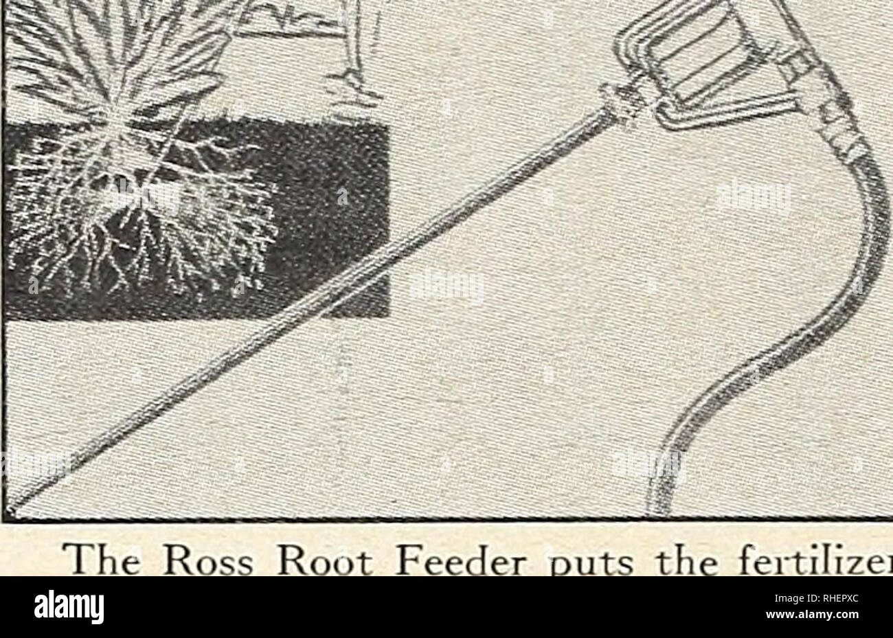 Bolgiano S Capitol City Seeds 1963 Nurseries Horticulture