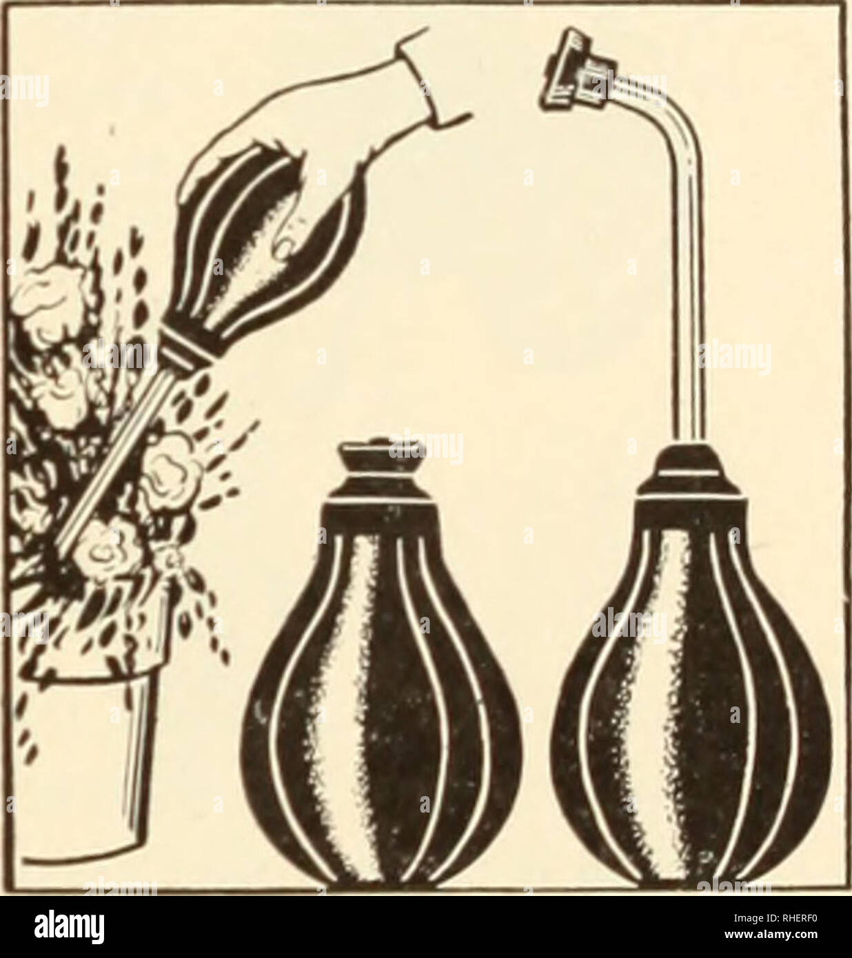 . Bolgiano's capitol city seeds. Nurseries (Horticulture) Catalogs; Bulbs (Plants) Catalogs; Vegetables Catalogs; Garden tools Catalogs; Seeds Catalogs. A TURN OF THE FAUCET INSTANTLY CONVERTS IT FROM A SOAKER TO A PORTABLE SPRINKLING SYSTEM No run-off No waste- No. 0. 12 It. $1 80 No. 1. 18 ft... 2 40 I -No soil-washing No. 2. JO ft...$3 70 No. 3. 50 ft... 6 00 Sprabulb. For years florists, seedsmen and house- wives throughout the U. S. A. have found the handv Sprabulb an excellent water and powder sprayer for plants. 8-oz. $1.00; 12- 1 50. 8-oz.: Cetrospray 1.50: 12-oz.S2.00. G. S. Master Sp Stock Photo