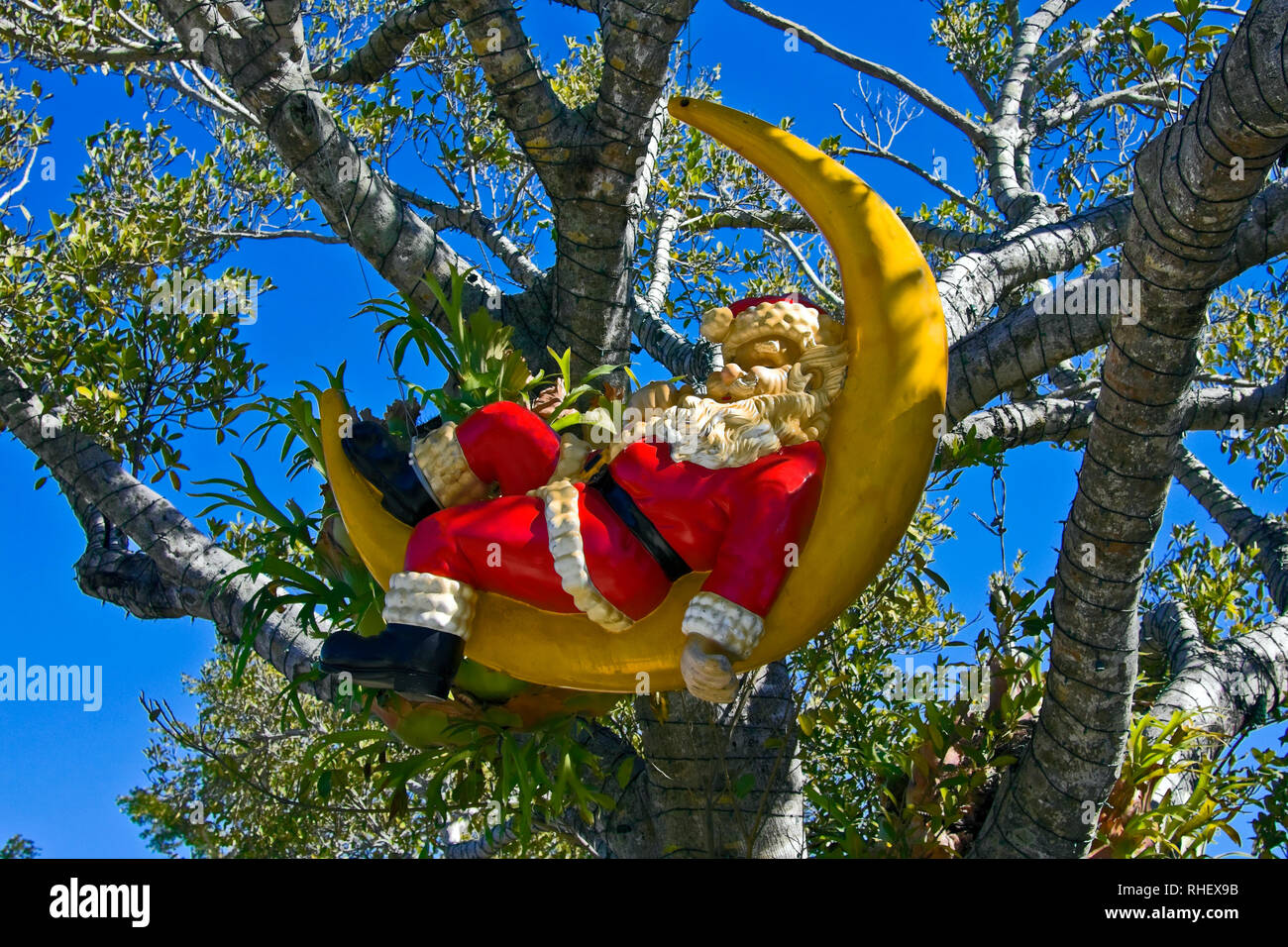 Naples Florida Christmas High Resolution Stock Photography And