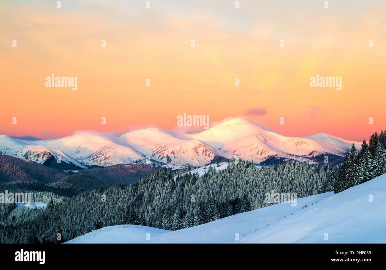 Morning mountain view. Three snowy peaks. Orange sky. Ukraine. Carpathians Stock Photo