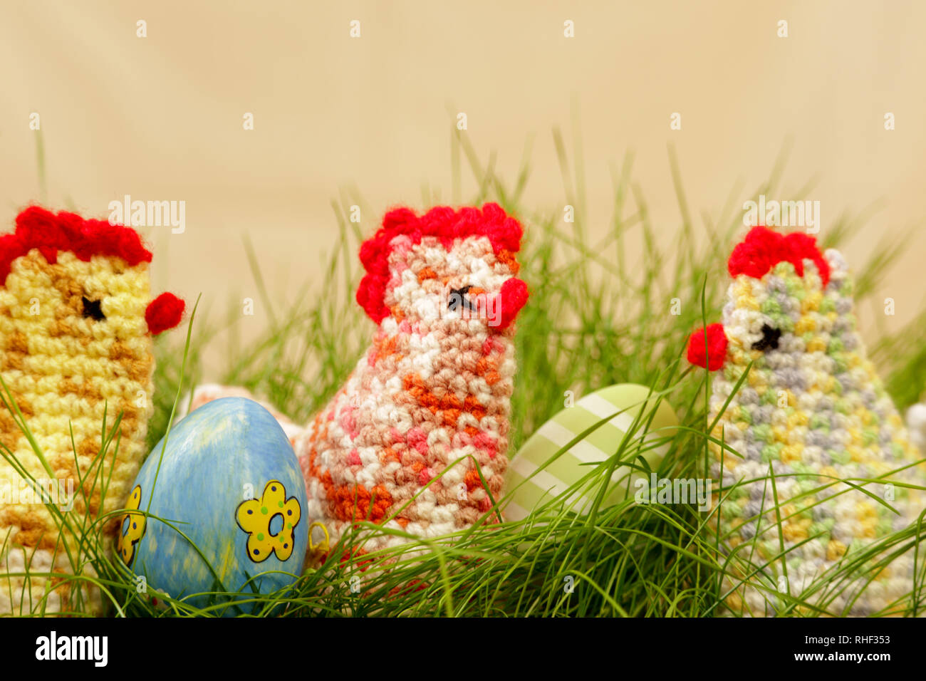 chickens in easter nest of grass with eastereggs Stock Photo