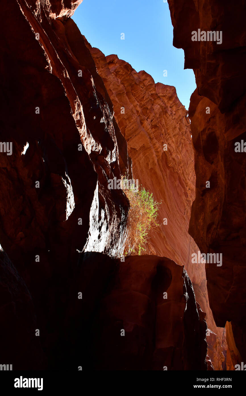 Red rock in Khazali Canyon in the desert at Wadi Rum. The protected ...