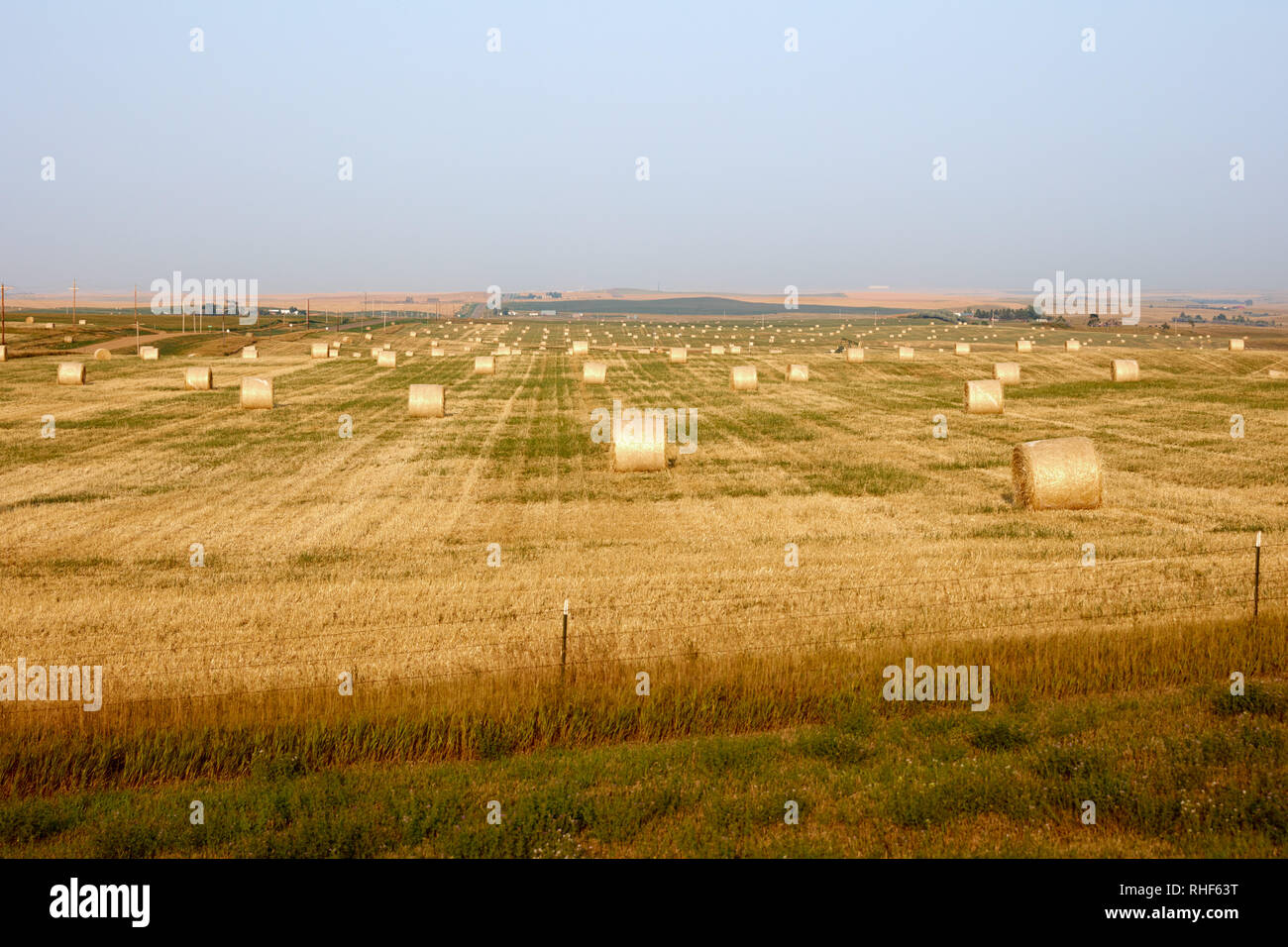 Field of rolls of hay in Western North Dakota Stock Photo Alamy