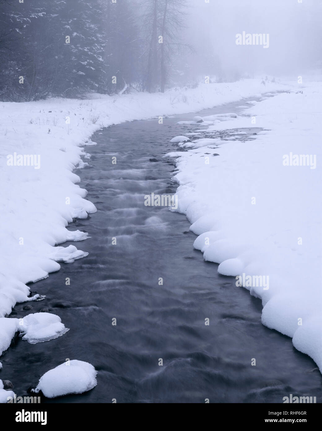 USA, Oregon, Wallowa Lake State Park, Winter snow and fog along partly