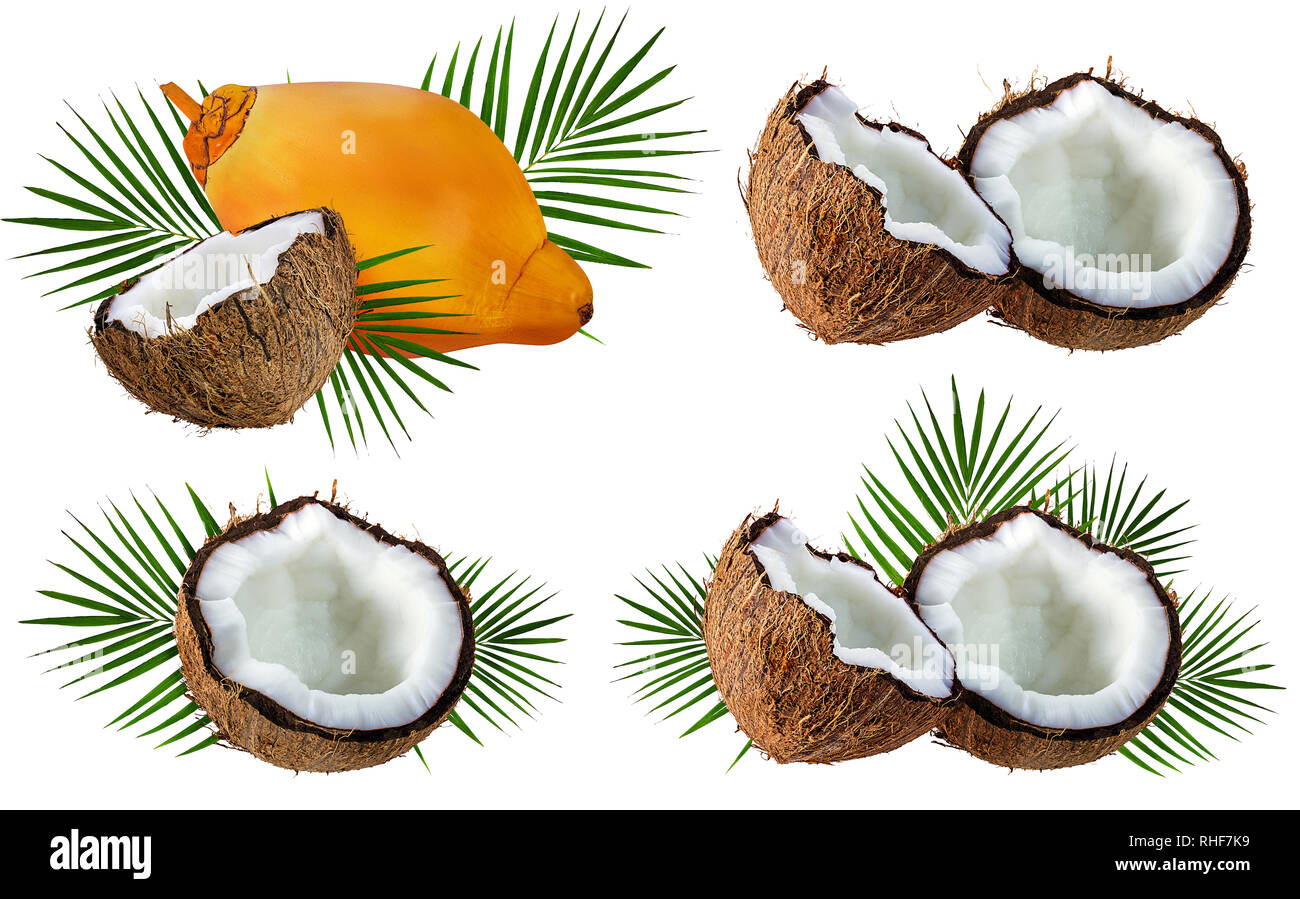 coconuts isolated on the white background Stock Photo - Alamy
