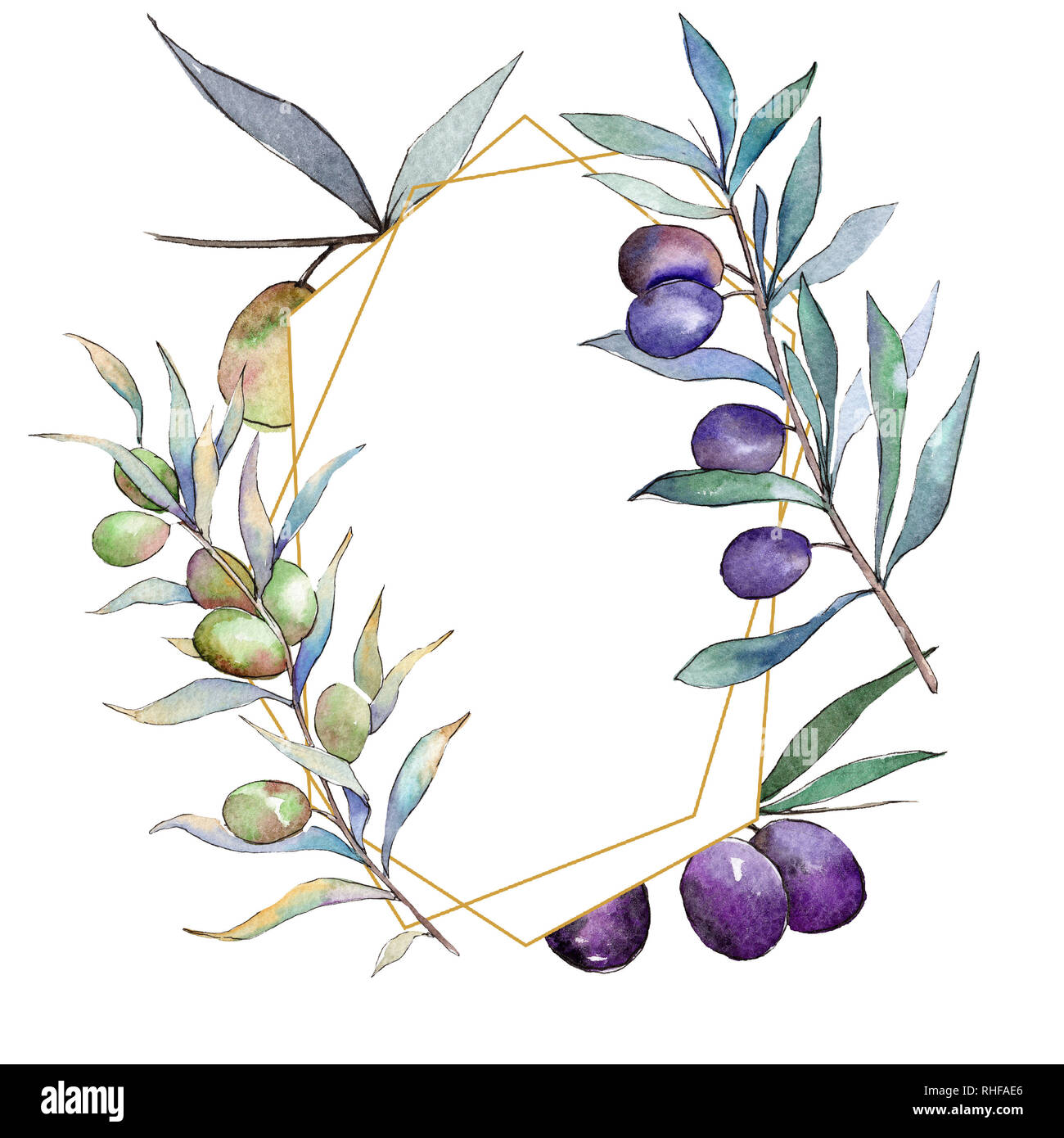 Green and black olives. Watercolor background illustration set. Frame ...