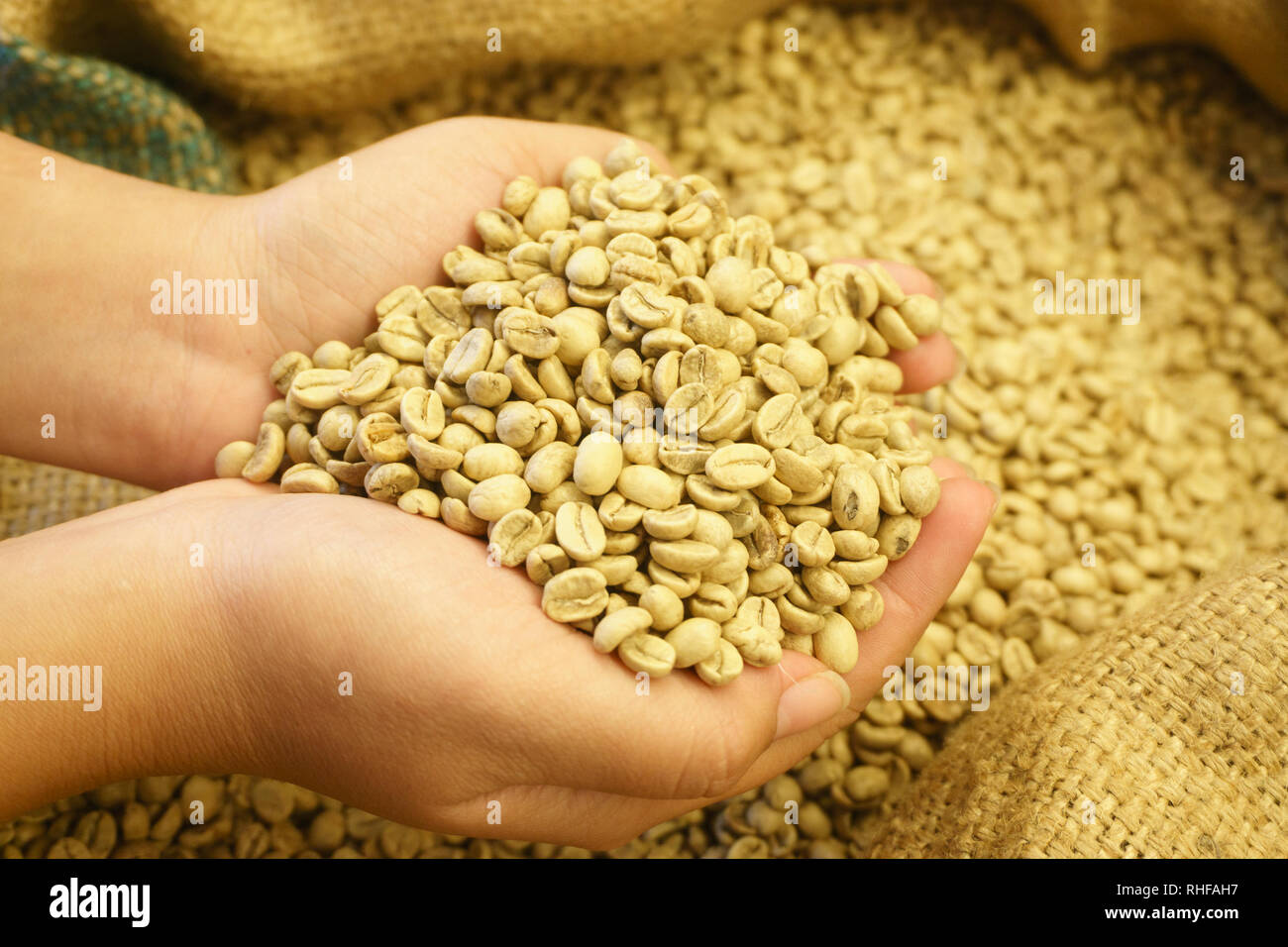 Raw coffee bean for background. Stock Photo