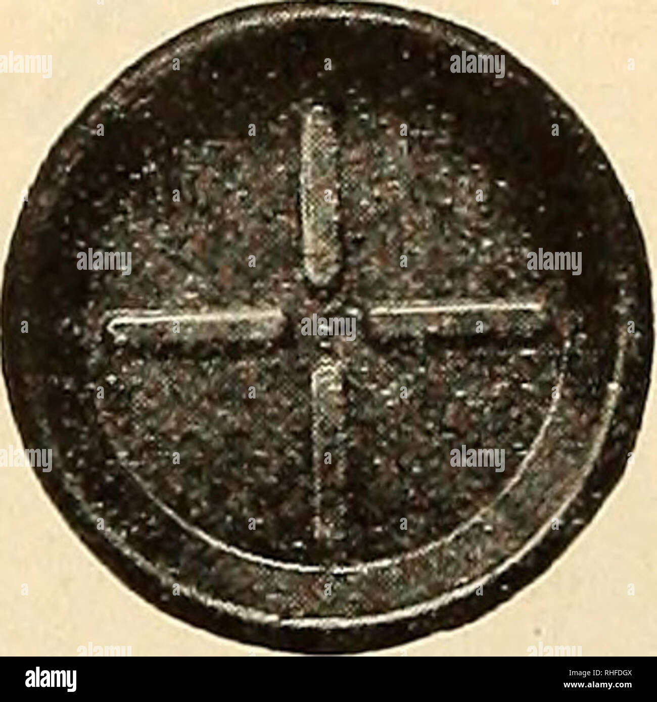 . Bolgiano's capitol city seeds : 1935. Nurseries (Horticulture) Catalogs; Bulbs (Plants) Catalogs; Vegetables Catalogs; Garden tools Catalogs; Seeds Catalogs; Flowers Catalogs; Poultry Equipment and supplies Catalogs. Flower Pots Ea. 4-inch 03 5-inch -.. .04 6-inch 06 7-inch 08 Doz. .30 .40 .55 .85 Ea. Doz. 2-inch 02'/z .20 3-inch 03 .30 4-inch - 04 .40 5-inch .07 .75 6-inch 10 1.10 7-inch 16 1.75 8-inch - 22 2.50 9-inch .33 3.75 10-inch 45 5.15 12-inch - 90 9.90 Saucers 100 $2.25 3.00 4.50 6.75 Ea. 8-inch 10 9-inch 13 10-inch .23 12-inch .33 Doz. $1.20 1.60 2.50 3.75 100 $1.15 1.95 3.00 5.40 Stock Photo