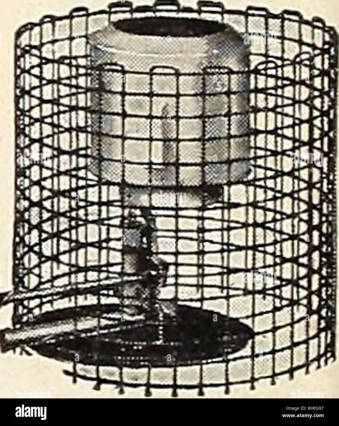Bolgiano Of Baltimore Garden Guide 1928 Seeds Maryland
