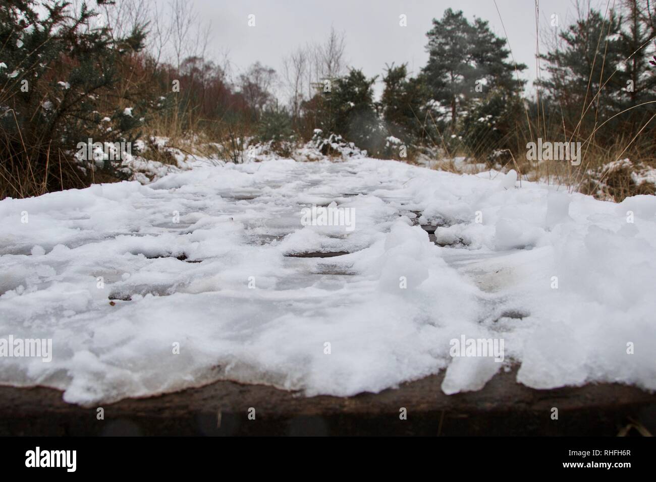 Close up of a footpath, wooden bridge or boardwalk in the countryside, covered in ice and snow with footprints; between trees and grass Stock Photo