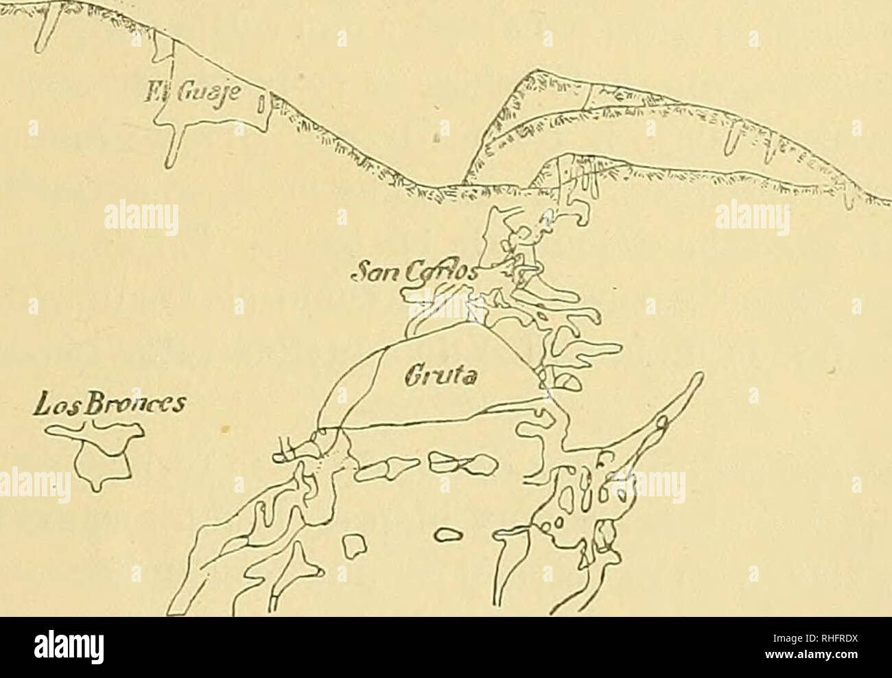 VEVOR Prensa de taladro Mag de perfil bajo, 1300 W Seychelles | Ubuy, image size:1300x988