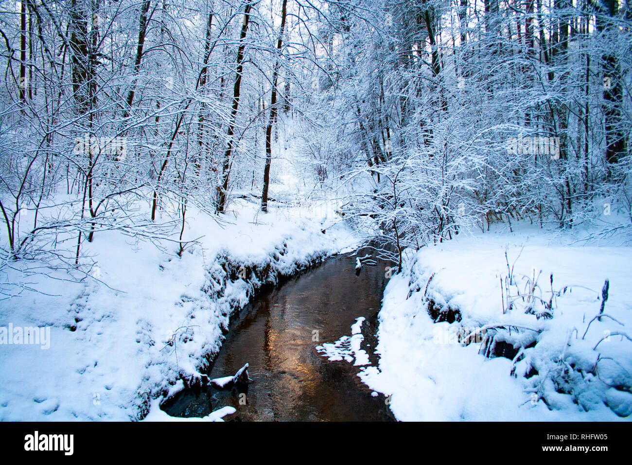 Little river in a forest in winter with trees covered by snow Stock ...
