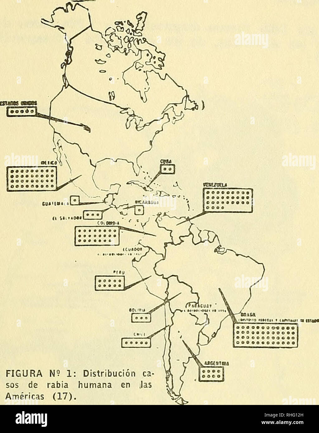 Map Quiz: Huesos del esqueleto humano (biología - esqueleto humano)