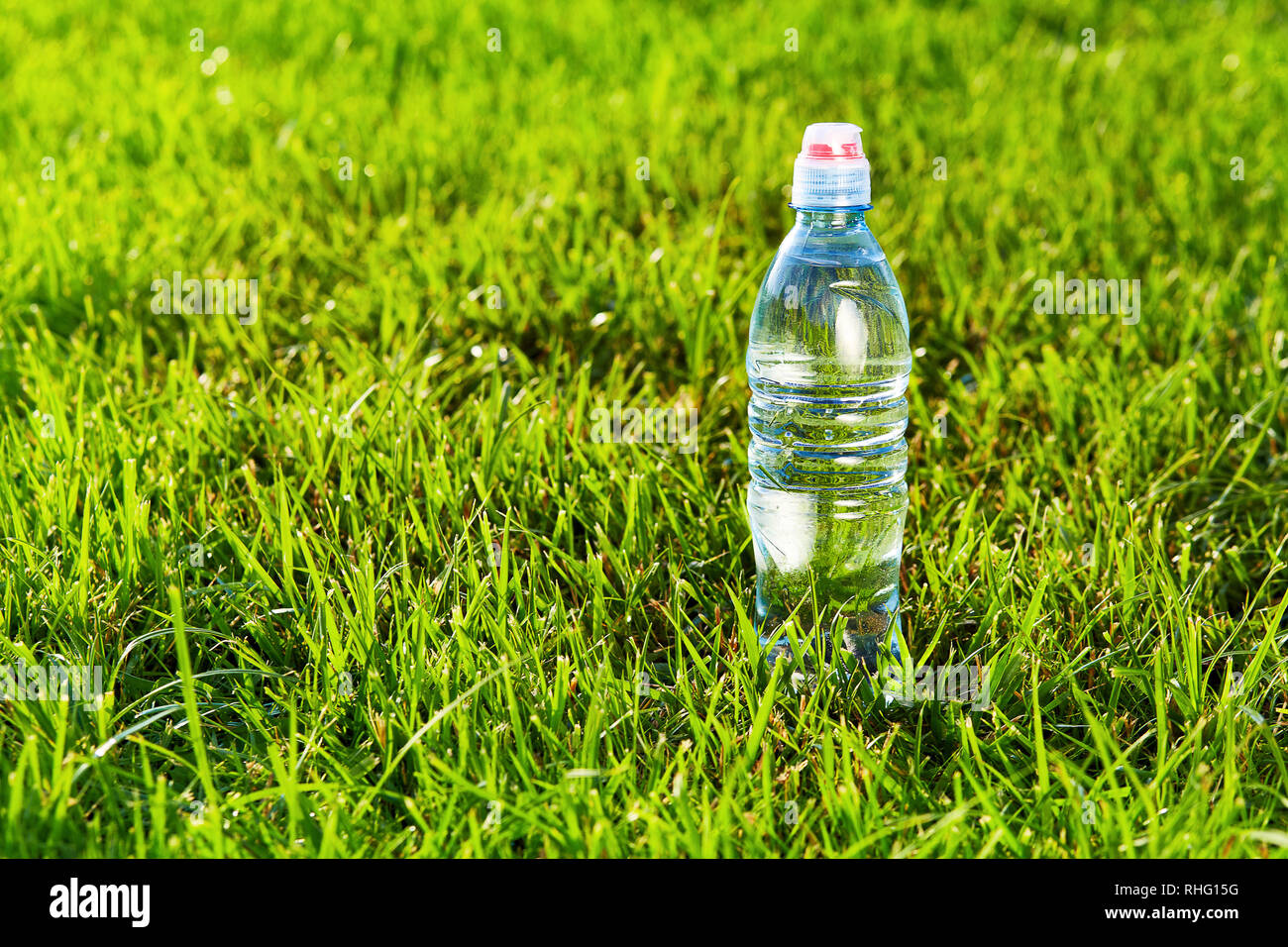Bottle of water on the green grass with copy space Stock Photo - Alamy