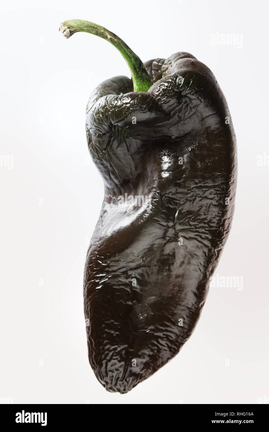 fresh poblano pepper on white background Stock Photo