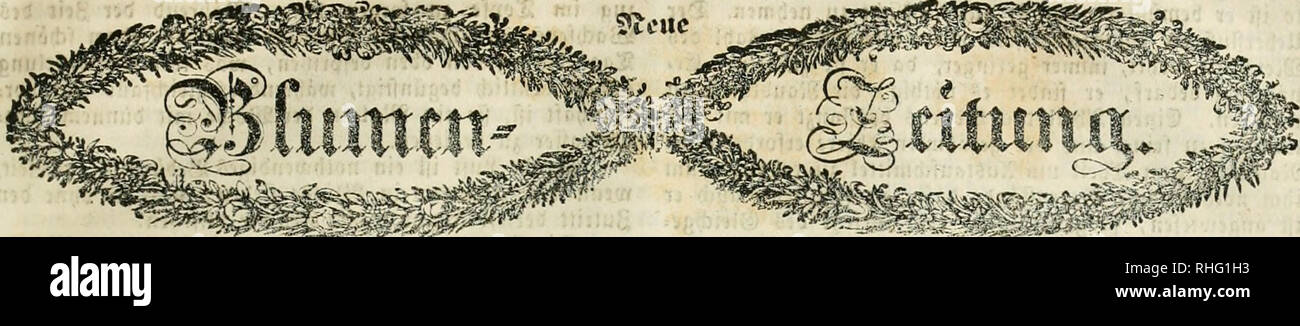 Blumen Zeitung Floriculture Germany Flower Gardening Germany M 13 Jrebatteur Gt Rtcta Rid Gt Sja Iilev Ajcrlcgtr S S A C Rpftmrtnn A 8doa Rttfca R A L 1 Sivlii 18 A A Sa G A A Rn Mtt Beilagen J J L Ana Ju Ta Cn