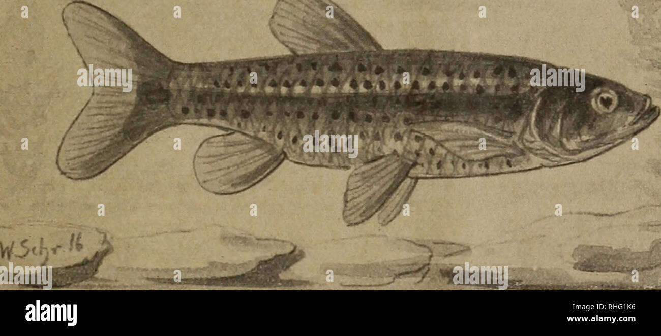 Rt 6a High Resolution Stock Photography And Images Alamy