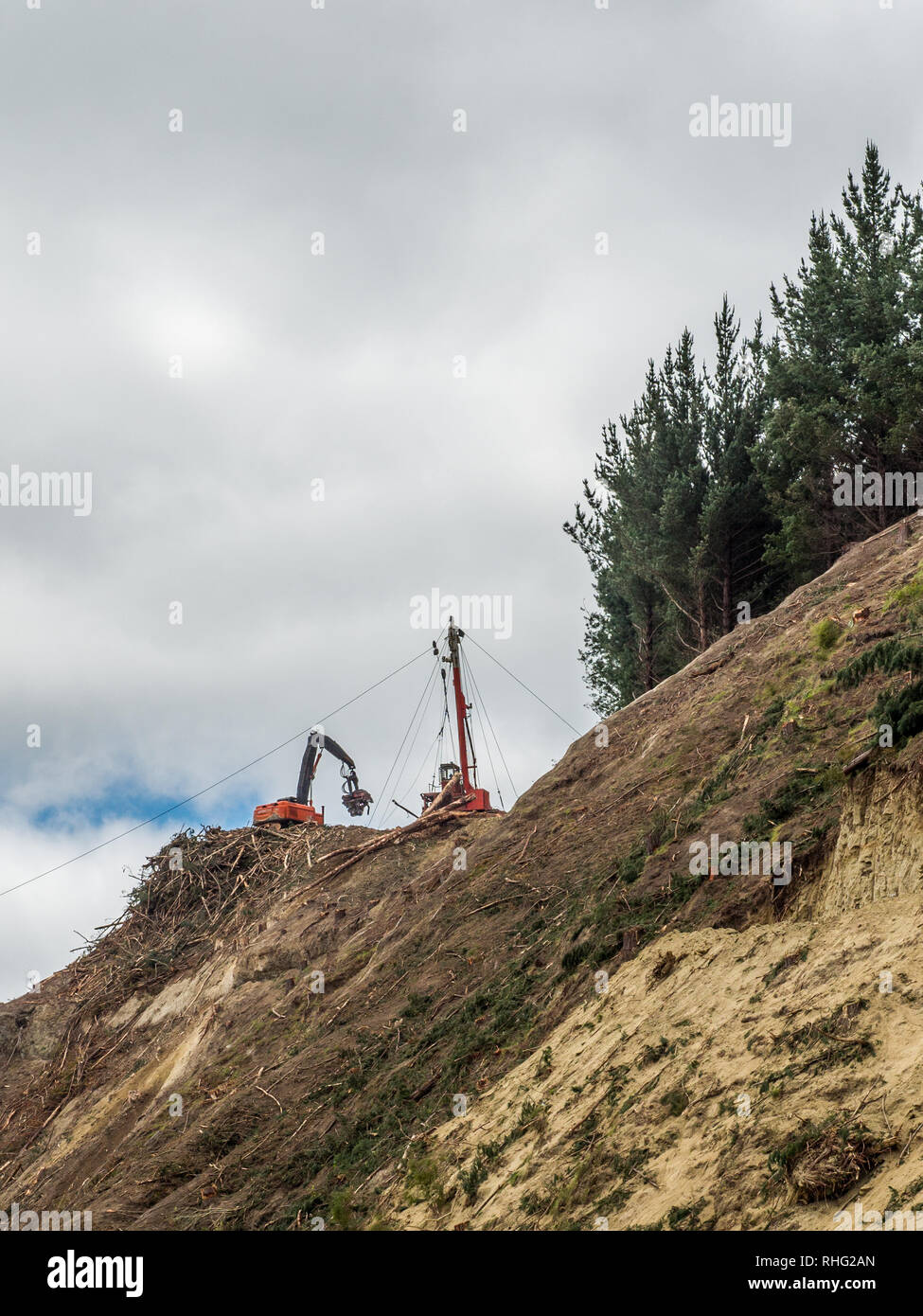 Skyline cable logging, clear cut pine forest, steep hill country, Whanganui, North Island, New Zealand Stock Photo