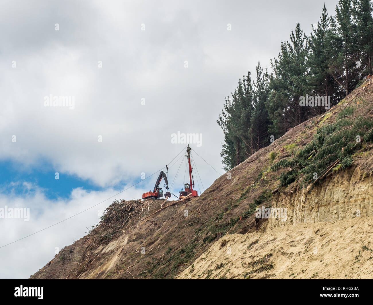 Skyline cable logging, clear cut pine forest, steep hill country, Whanganui, North Island, New Zealand Stock Photo