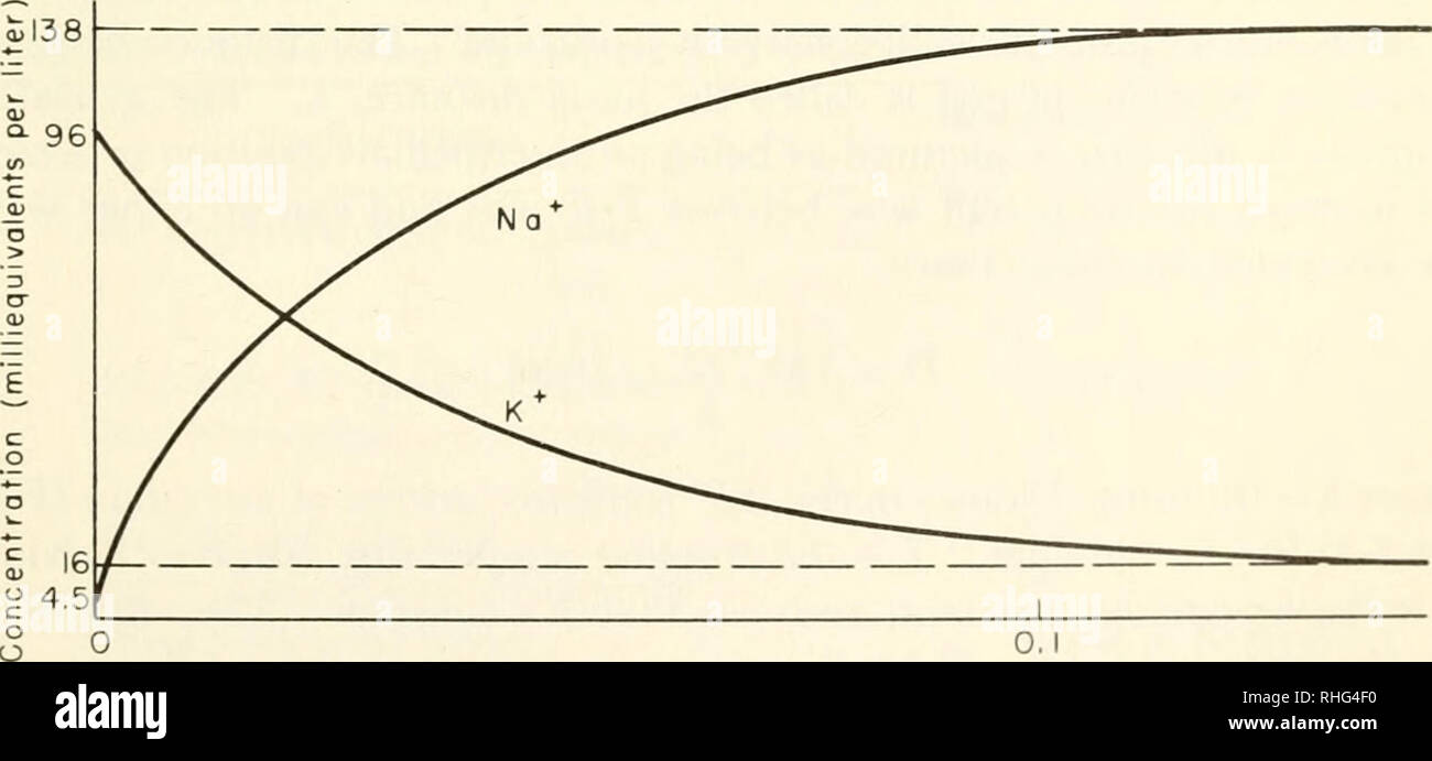 Concentration Gradient Graph