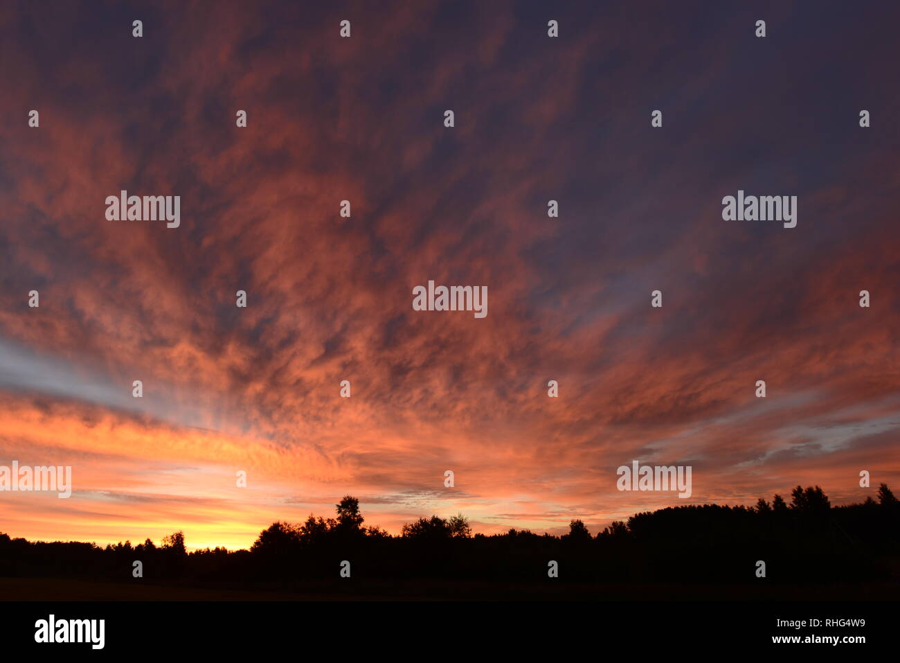 Sky color palette picturesque nature of summer dawn Stock Photo