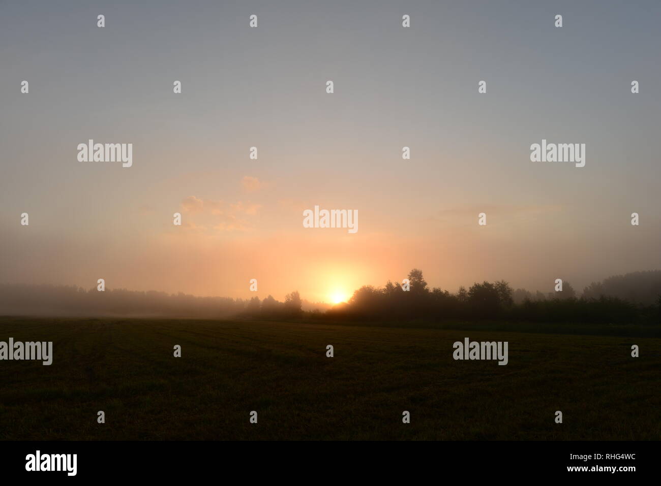 Glowing  sun  through the morning mist haze over the field Stock Photo