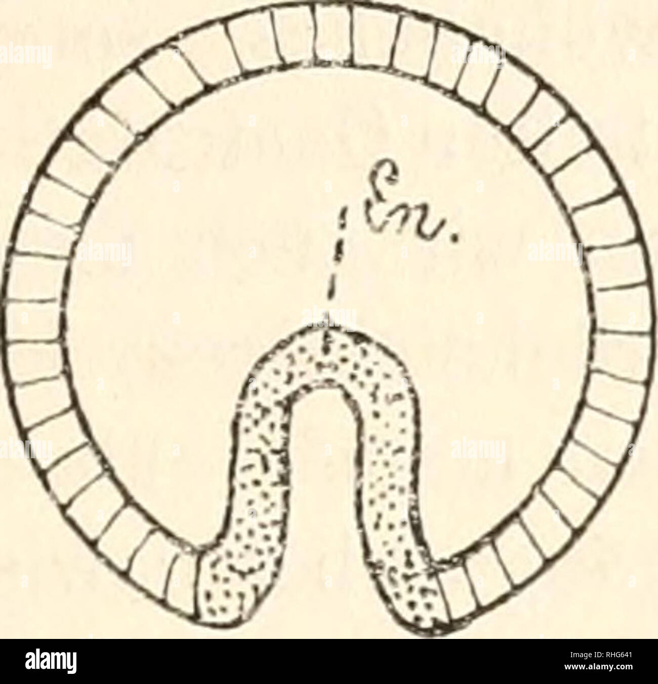 Trennung 7 High Resolution Stock Photography And Images Alamy