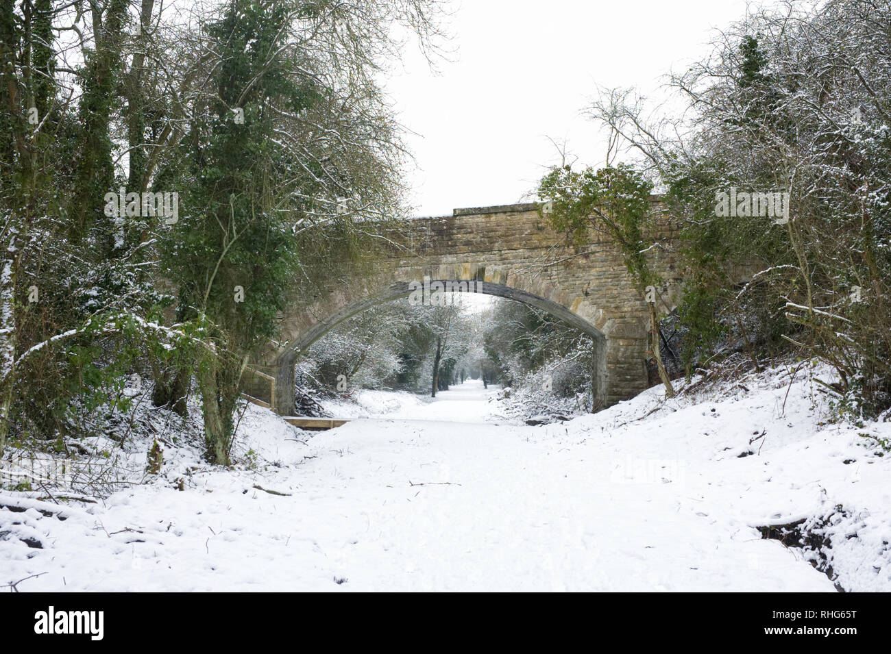 Pathway in Winter. Stock Photo