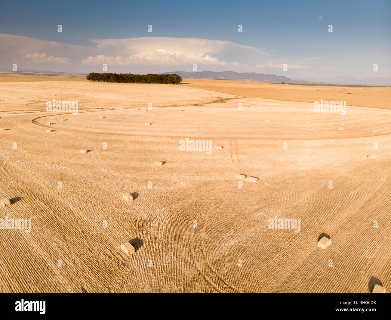Aerial view of farm field in the Western Cape, South Africa. Stock Photo