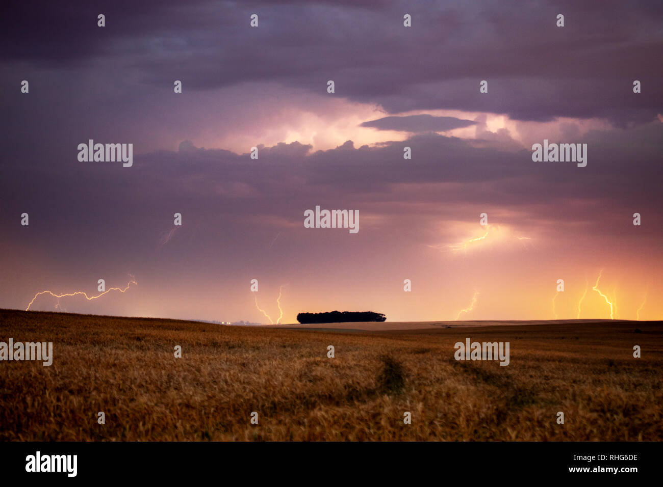 Lightning storm over farm field in Western Cape, South Africa Stock Photo