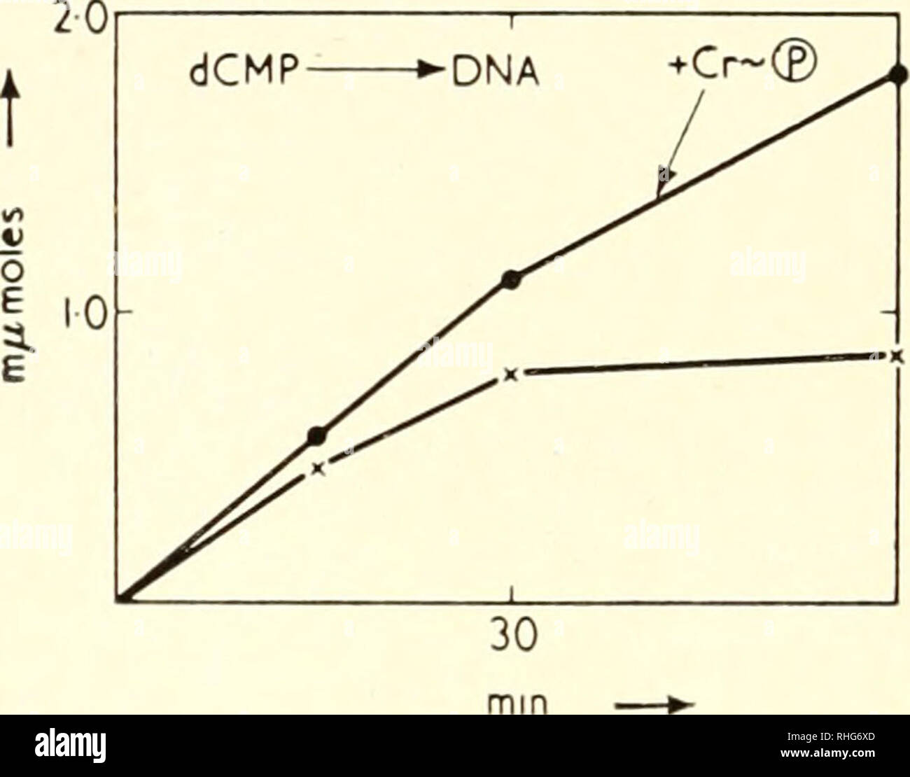 . Biological structure and function; proceedings. Biochemistry