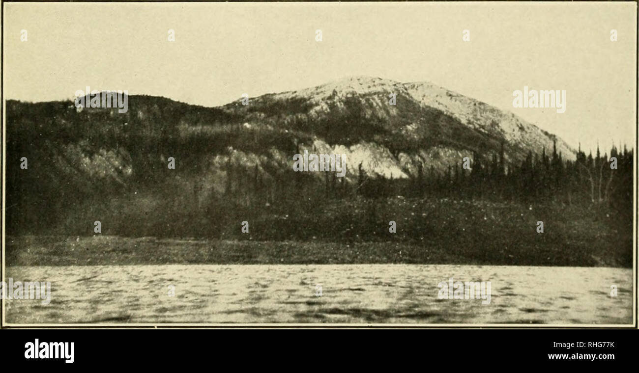 . A biological investigation of the Athabaska-Mackenzie region. Zoology. Fig. 1.âBank of Upper Bear River, and Our Indian Escort. â¢ M K.i F , 1 *Â» j J '^ *Â£, j * I' t i* â 3 Â» *1 i 3? J f rp,Â« i M&quot;f jfi &quot;In v3r â¢ i -X -* im SfHgSl 1 1 *$.  Uk -^Â»i,.4â¢i* #'| M: â Â«a u RH MllfllH^*^^l B *râ1-&gt;- ' - Fig. 2.âTrapper's Cabin Near Site of Fort Franklin, Great Bear Lake.. Fig. 3.âMount Charles, at Rapid of Bear River.. Please note that these images are extracted from scanned page images that may have been digitally enhanced for readability - coloration and appearance of these Stock Photo