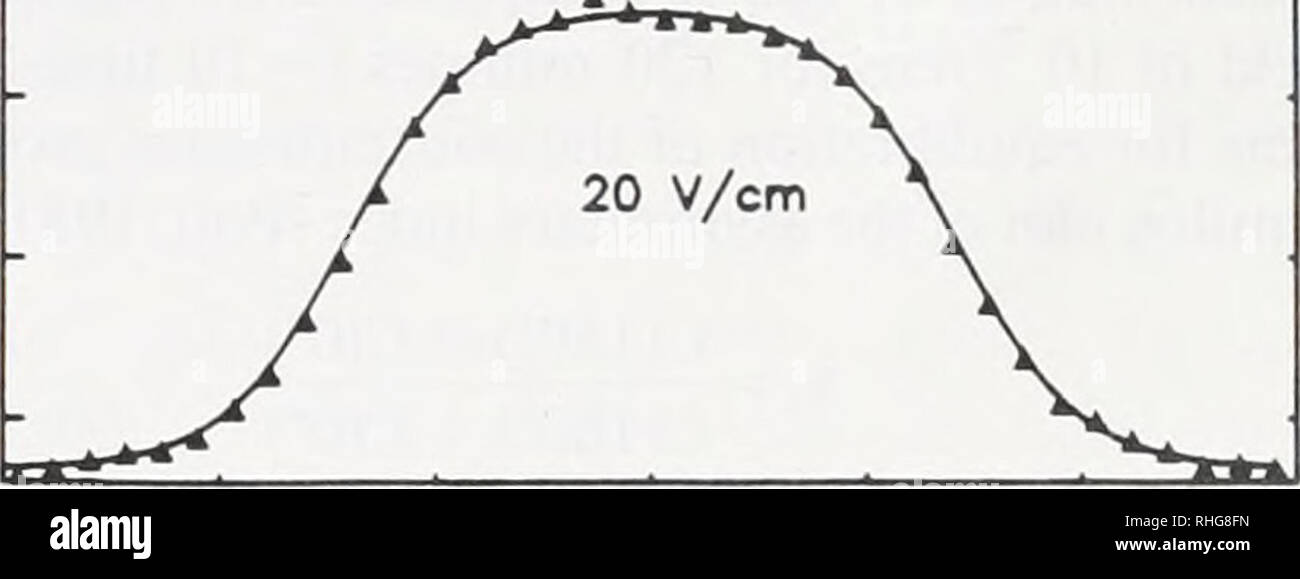 . The Biological bulletin. Biology; Zoology; Biology; Marine Biology