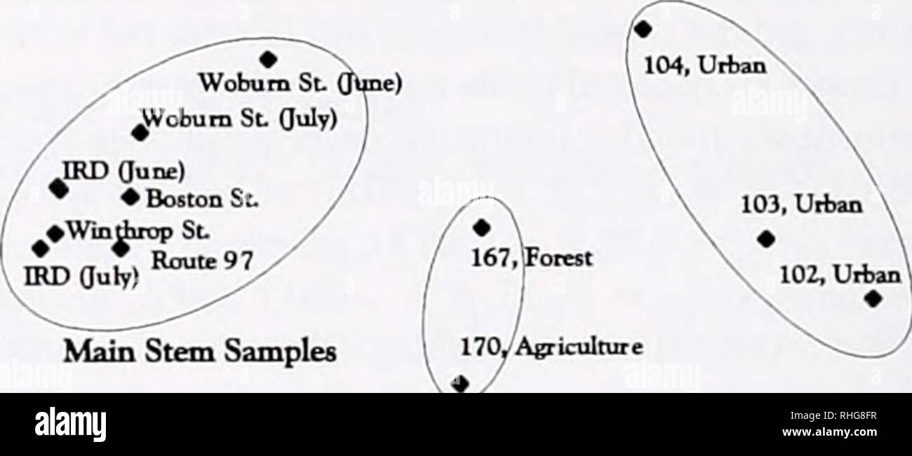The Biological Bulletin Biology Zoology Biology Marine