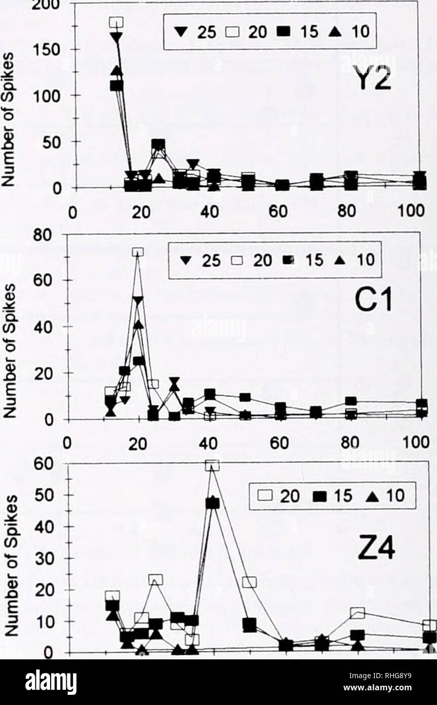 . The Biological bulletin. Biology; Zoology; Biology; Marine Biology. 196 REPORTS FROM THE MBL GENERAL SCIENTIFIC MEETINGS we have evaluated the sensitivity of the auditory midbrain (torus semicircularis, TS) to sound pulses produced at several periodic rates. The stimuli for our previous experiments have been various frequencies of sinusoidal particle motion (described in 3). Here. we have used sound pulses to determine whether cells in the TS are selective for IPI or pulse rate. Fish were anesthetized with 3 uminobenzoic acid (1:1000. Sigma), immobilized with an injection of pancuronium brom Stock Photo