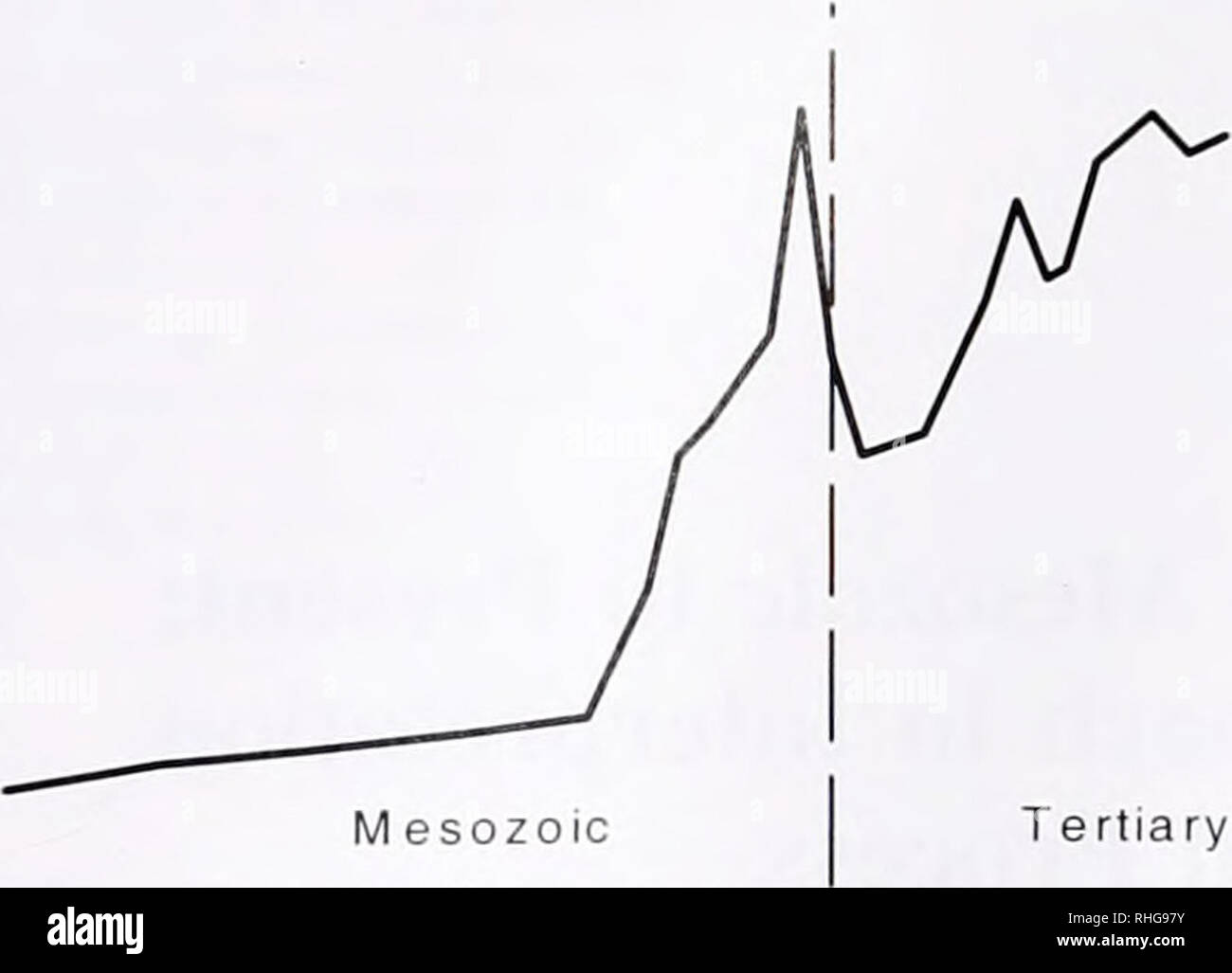 . The Biological bulletin. Biology; Zoology; Biology; Marine Biology
