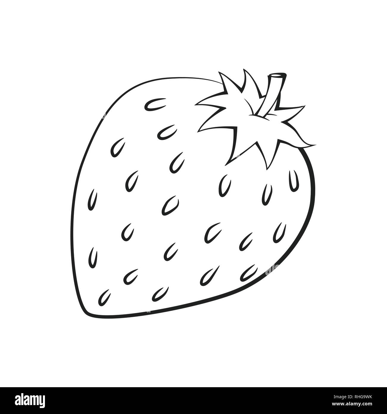 Illustration of Strawberry isolated on white background, fresh healthy food,  organic natural fruit for coloring book. Hand drawn Vector Illustration. Stock Vector
