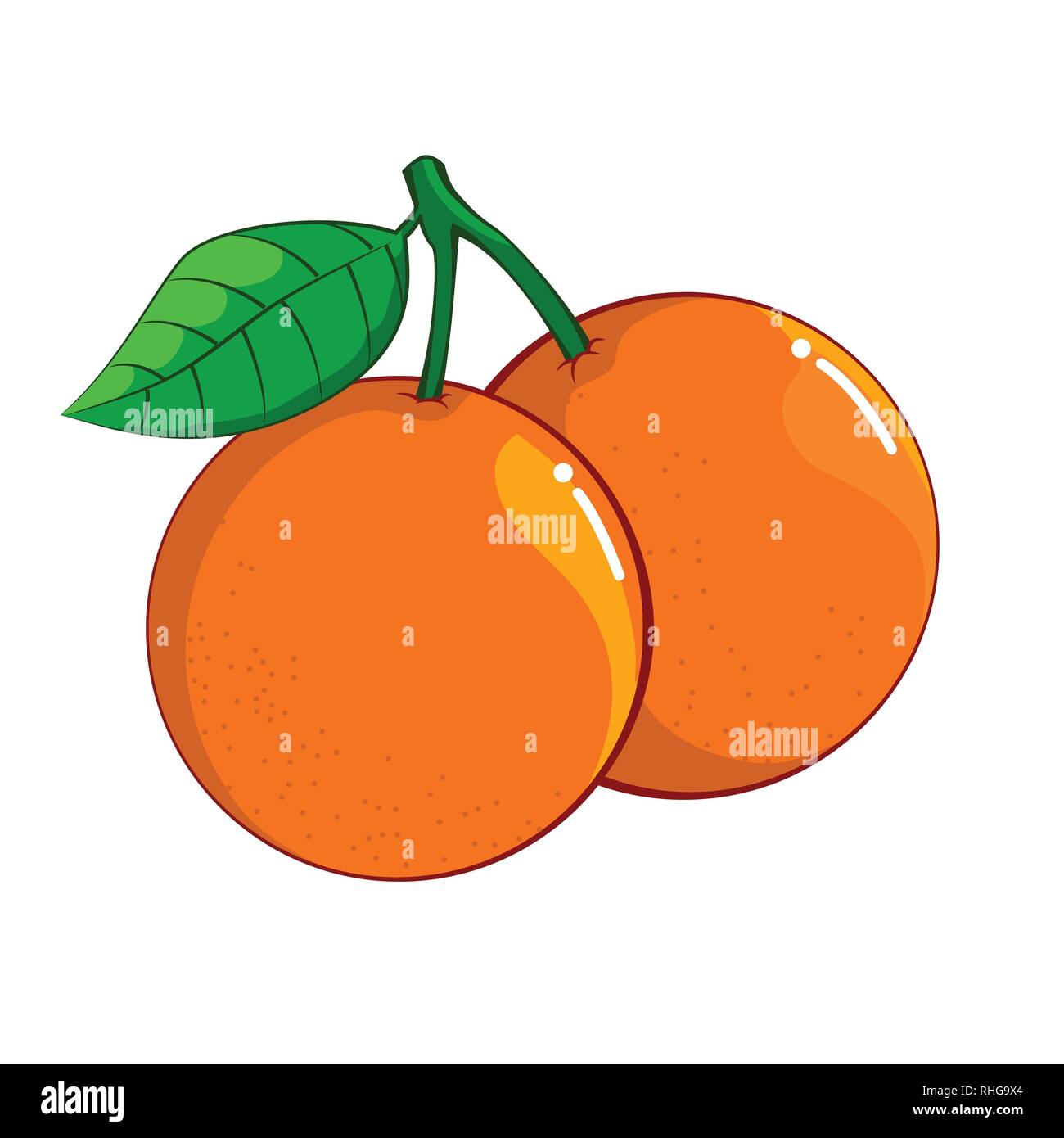 Illustration of Orange isolated on white background, fresh healthy food,  organic natural fruit. Vector Illustration. Stock Vector