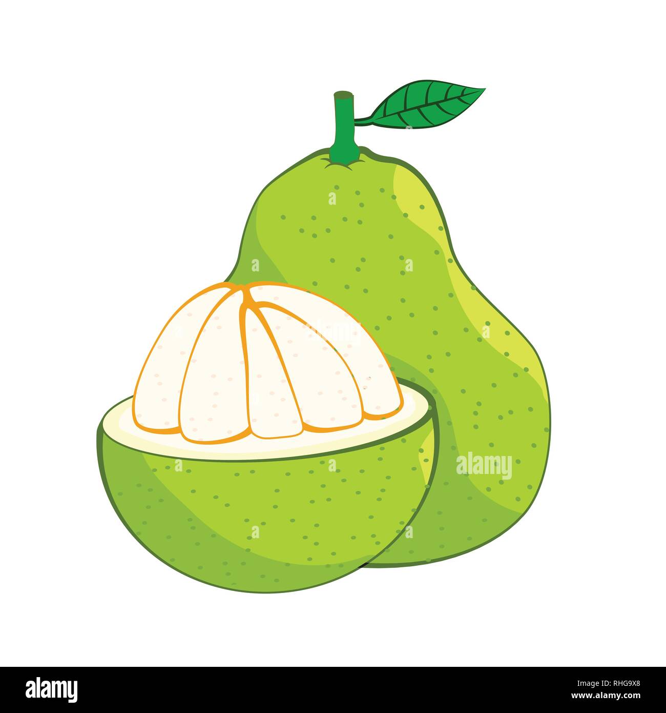 Illustration of fresh Pomelo, isolated on white background, fresh healthy food,  organic natural fruit. Vector Illustration. Stock Vector