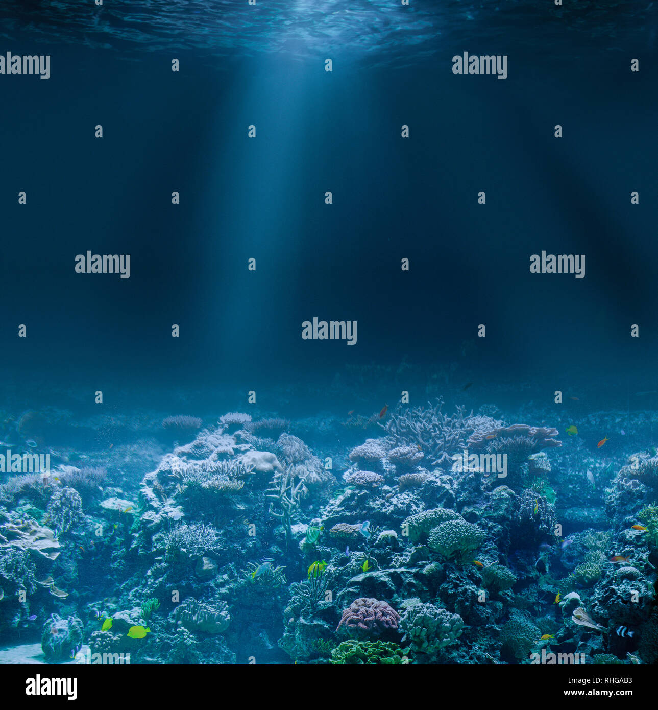 Sea or ocean seabed with coral reef. Underwater view Stock Photo Alamy