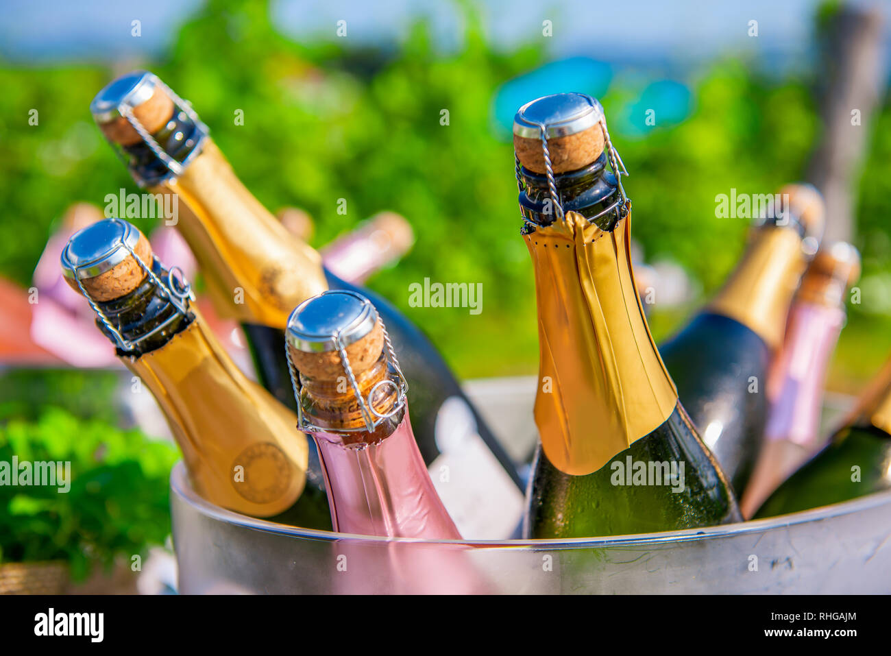 Bottles of champagne, sparkling wine in cooler at wedding reception outdoors, wedding and summer party concept Stock Photo