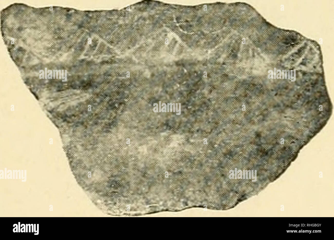 . Boletín de la Sociedad Española de Historia Natural. Natural history. 4 5 '' CUEVA LÓBREGA (TORRECILLA DE CAMEROS) 1-2, Fragmentos de un vaso de bronce.-3-7, Cerámica hallstattiana. (l-5:4-;6-74). Please note that these images are extracted from scanned page images that may have been digitally enhanced for readability - coloration and appearance of these illustrations may not perfectly resemble the original work.. Sociedad Española de Historia Natural. Madrid : Estab. tip. de Fortenet Stock Photo