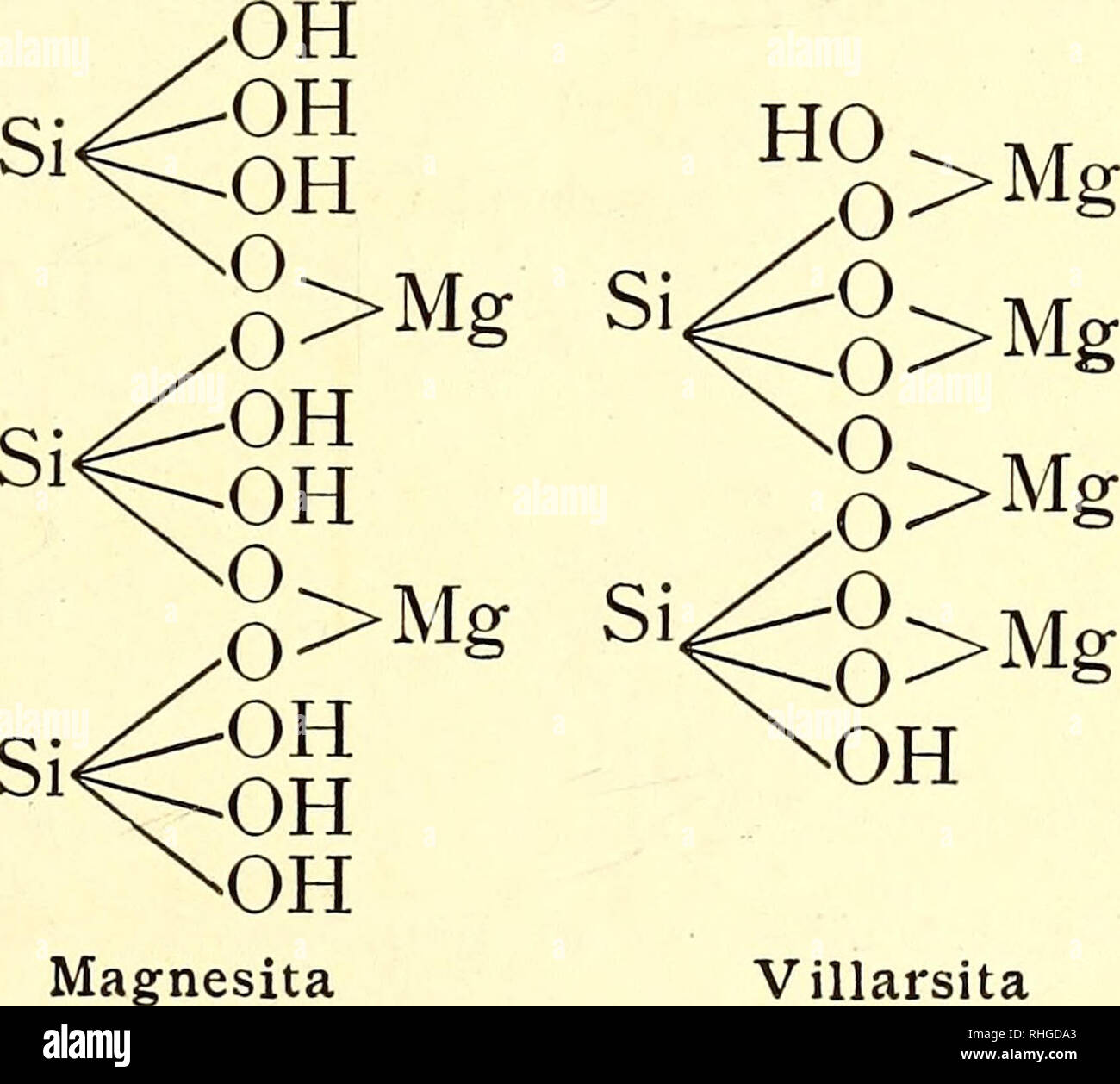 . Boletín de la Sociedad Aragonesa de Ciencias Naturales. Natural history; Botany. DE CIENCIAS NATURALES 193 Clintonitas. También estos silicatos son considerados por Tschermak como resultado de mezclas isomorfas, de silicatos y aíuminatos x [2 (s¡00 + 2 SiOCa+ l &gt;Mg4- l 0=A1 —O 0=A1—O O-Al-OHj Otrelitas. Composición análoga á las anteriores pero ferríferas [SiOFe Al=OHl SiOFe J |  Al-OHj Serpentinas. Son orto (Serpentina Magnesita, Villar- sita) y meta (Talco) silicatos ácidos, alguna vez ácidos y básicos (Villarsita), magnésicos. He aquí sus fórmulas: OH 0&gt;Mg 0&gt;Mg+H,0 Si 0&gt;Mg OH  Stock Photo