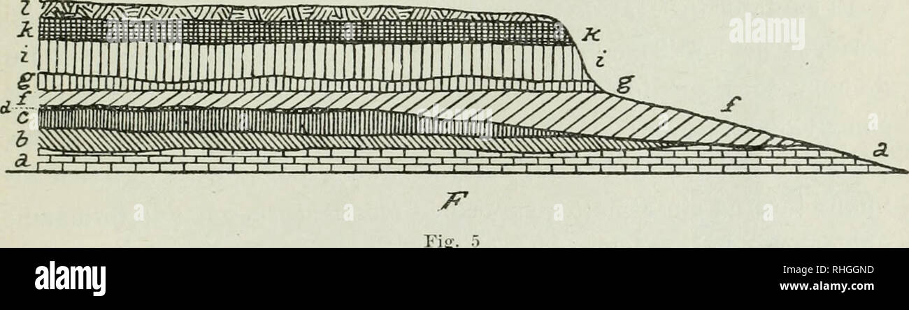 . Boletín. Science. F) donde entre el loess c, de reducido espesor y las arcillas /, tam- l)ién poco desarrolladas, se observa una delgada capa de tosca con cantos calcáreos (&lt;í); además entre las arcillas / y las formaciones su- perpuestas, en algunos puntos se intercala una capa de 25 a 30 cen- tímetros de espesor, constituida de loess poco homogéneo [g), en l)arte pulverulento y mezclado con discreta cantidad de carbonato de calcio, distribuido en la masa.. Please note that these images are extracted from scanned page images that may have been digitally enhanced for readability - colorat Stock Photo