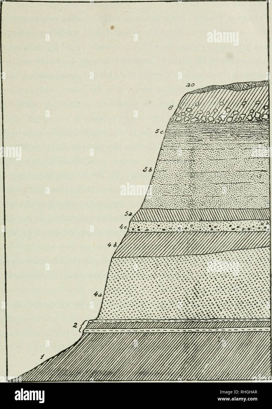 . Boletín. Science. GEOIXtGIA DE ENTRE RÍOS 97. Fig. 11.— BaiTiiiica ai este del piuilii nuevo de I'arauá: 1. airilla &lt;M {taraiu'n- se; 2, bancos de Ostrea paraKÜtca y Cragscitellites; 4o, médano del enti-o- mense : 46, artillas t-stratiticadas del anlerior ; 4c, arenas cuspidales del mis- mo, con ictiolitos y cantos rodados de playa; 5a, arcilla del rioneurensc teiTestre; 5 6, arenas ocráceas del ríouegrense fluvial; 5 c, parte cuspidal de las anteriores, Itien estratificada en capitas delgadas ; 8, arcilla lacustre del arau- canense con concreciones calcáreas : 20, humus. Escala vertical  Stock Photo