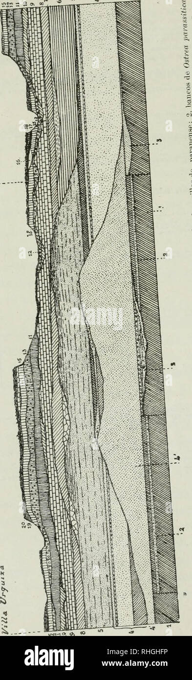 Page 434 F E M A High Resolution Stock Photography And Images Alamy Page 434 F E M A High Resolution Stock Photography And Images Alamy